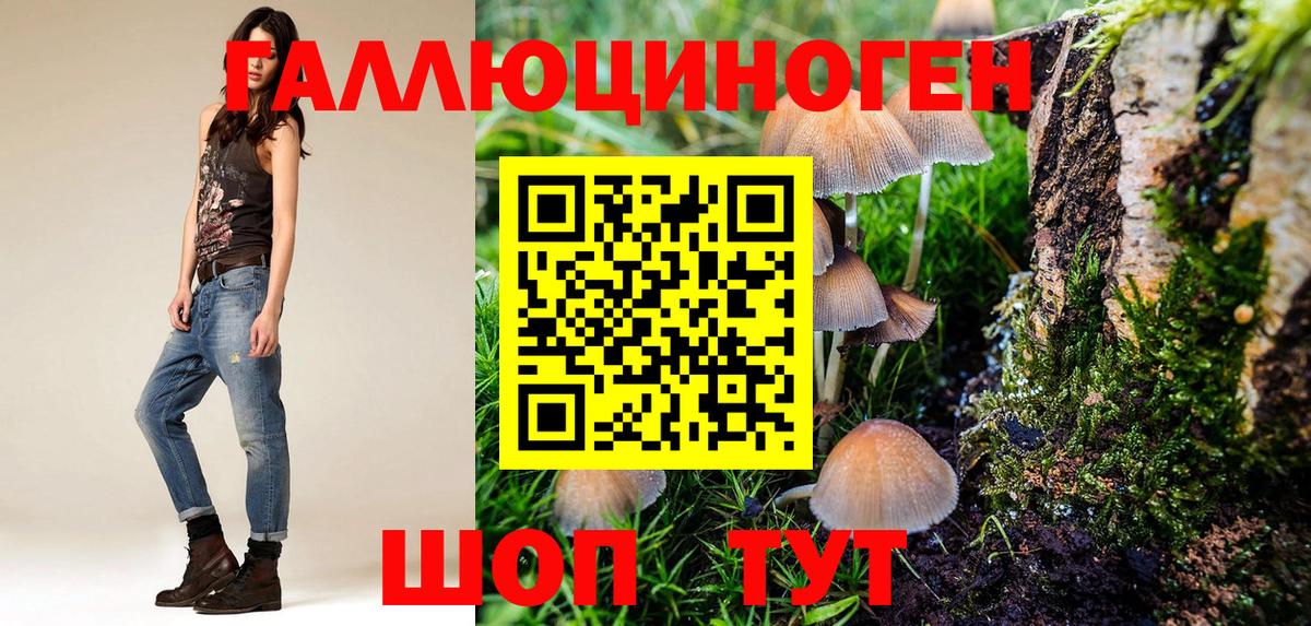 Псилоцибиновые грибы Cubensis  Вход с VPN  Дюртюли 