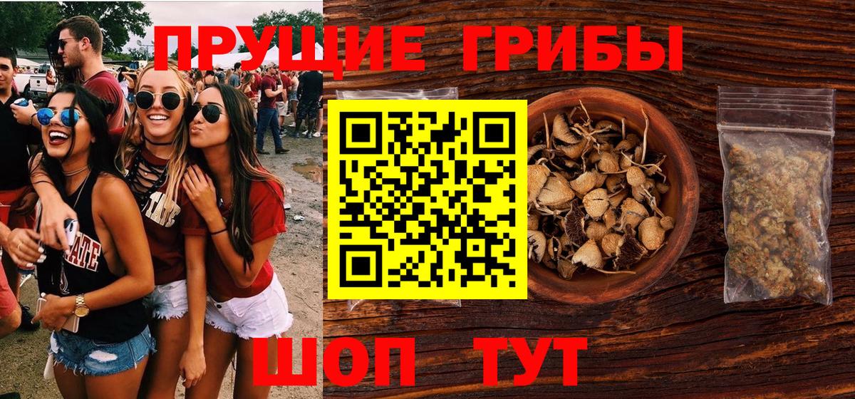 Псилоцибиновые грибы прущие грибы Дюртюли